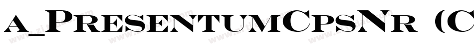 a_PresentumCpsNr (COPY 1)字体转换